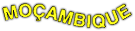 Image of mocam.gif